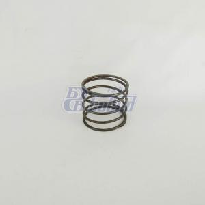 Пружина  55571-1203553