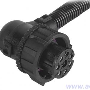 Колодка соединит. еврофар, фонарей (байонет, в сб. с пров.) 30/301/31/311.3775, 7462/7472.3716