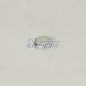 заглушка (ПАО КАМАЗ) 7406.1002318