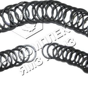 Рем к-т секций ТНВД 171,175,17 РТИ (на 8 секций)  175-1111001-01
