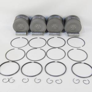 Моторокомплект ПОН (порш.пал.ст.к, порш.к)  421.1004018 А 100 мм ЭКСПЕРТ