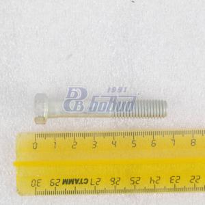 Болт М10х60  200321-П29