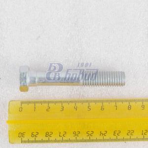 Болт М12х70  200373-П29