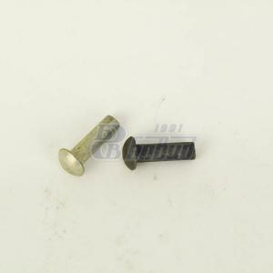 Заклёпка 6х20 (сталь)  252706-П29